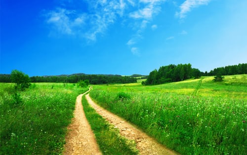 road-in-between-of-grass-field-near-trees-at-daytime