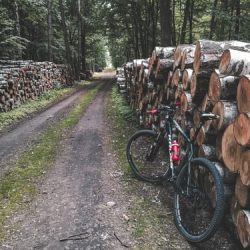 black-mountain-brown-tree-logs