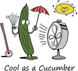 cool-cucumber-idiom
